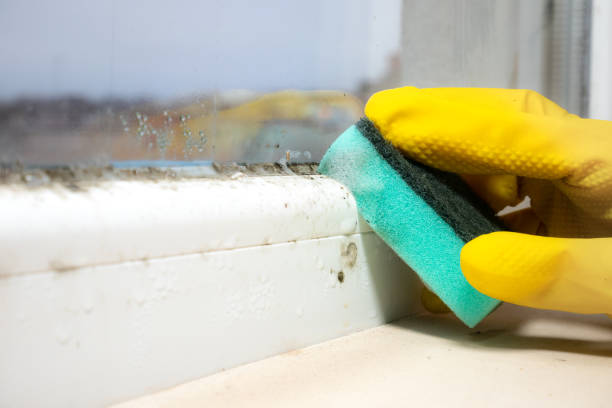 Best Mold Testing  in Delevan, NY